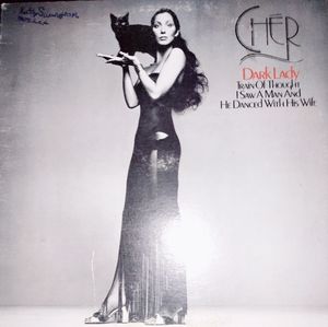 Cher dark lady Vinyl